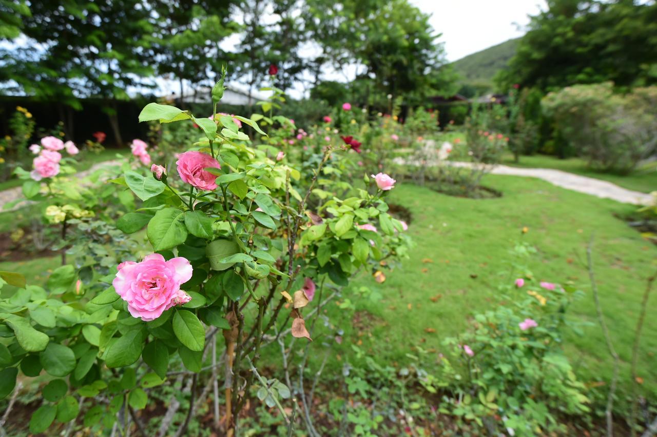 Rose Villa Hote Pak Chong Buitenkant foto